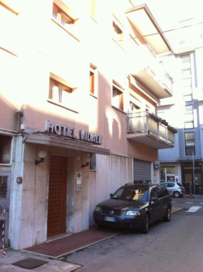 Гостиница Hotel Vidale  Mestre